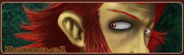 baniere-draven.jpg